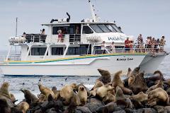 Seals and PIE Pass